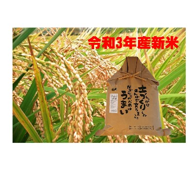 【令和3年産】八重の穂 10kg(5kg×2袋)/(精米)