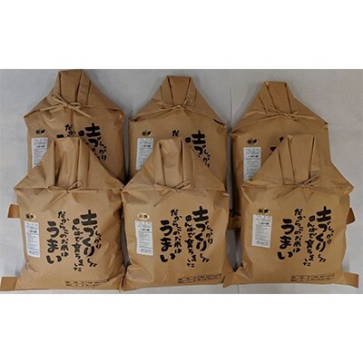 【令和元年産】八重の穂 30kg