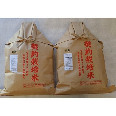 【令和元年産】岩手農家のお米 9kg