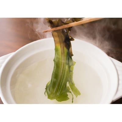 ＜先行受付　2月初旬から3月中旬　お届け便＞　いわて三陸産生わかめ600g×2