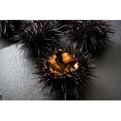 【期間限定】【5月～7月発送】生うに(250g)