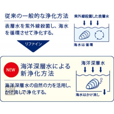 <先行受付・令和5年11月頃お届け便>【海洋深層水仕込み】釜石湾・尾崎牡蠣10個セット(生食用)