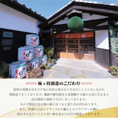 炭酸割りが美味しい 果肉入りフルーツリキュール(4本)
