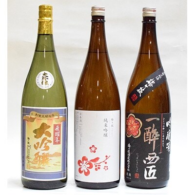 【毎月定期便】大吟醸・純米吟醸・吟醸酒の贅沢一升3本セット全6回