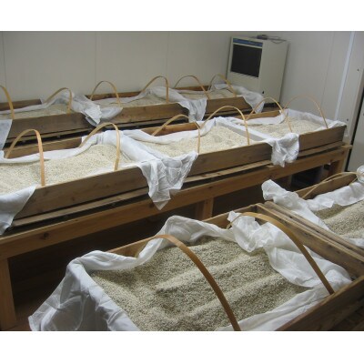 【毎月定期便】麦焼酎「ぎんた」25度1.8L3本　【梅ヶ枝酒造】全3回