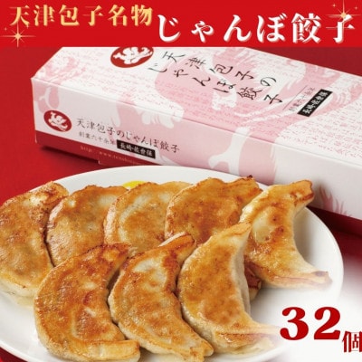 【毎月定期便】天津包子名物じゃんぼ餃子　8個入(計300g)×4箱全6回