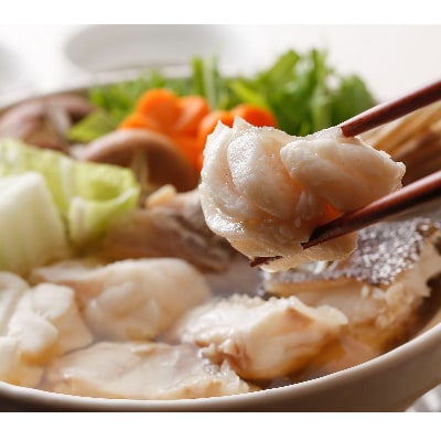 長崎産天然クエ鍋(大)