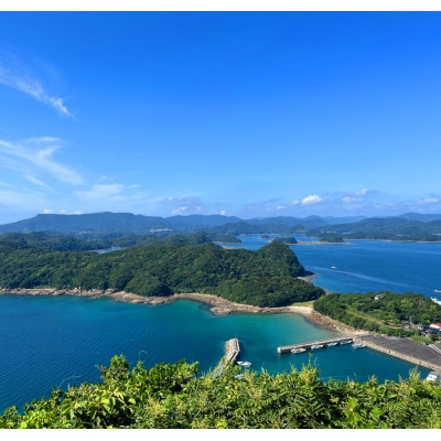 九十九島クエだし真鯛茶漬け