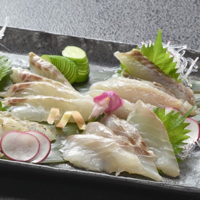 九十九島地魚海鮮づくし(お刺身・海鮮丼)