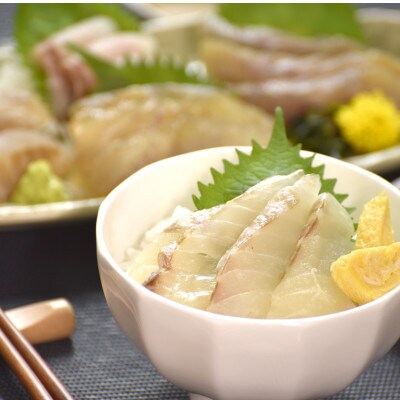 九十九島地魚海鮮づくし(お刺身・海鮮丼)