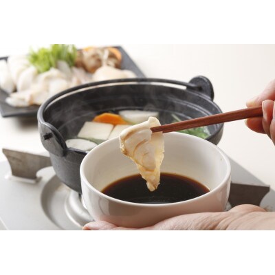 長崎産 天然くえしゃぶ
