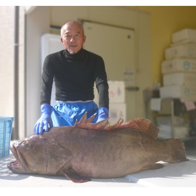 プレミアム天然クエ鍋