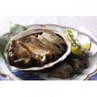 天然黒あわびのクエだし柔らか煮(中)4枚セット