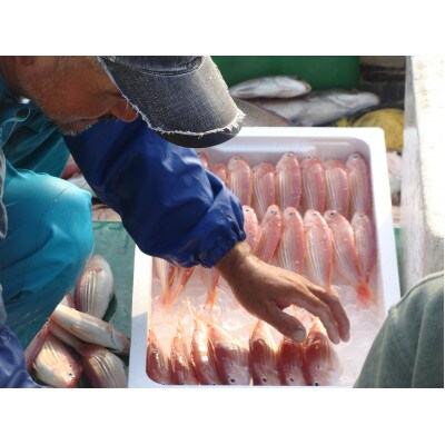 レンジでうまか～高島の地魚姿煮つけ
