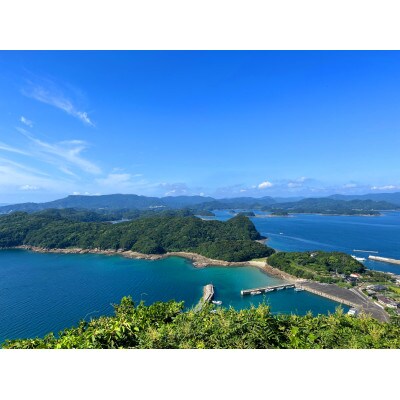 レンジでうまか～高島の地魚姿煮つけ