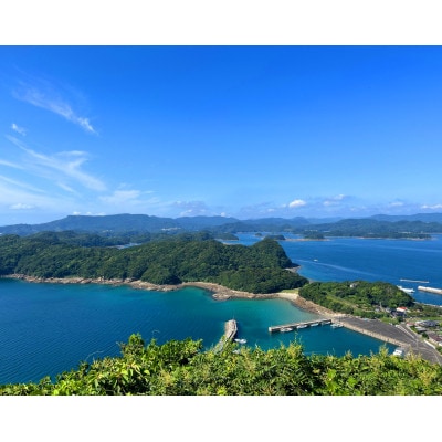 クエだし詰合せ(クエだしの素・本クエだし)