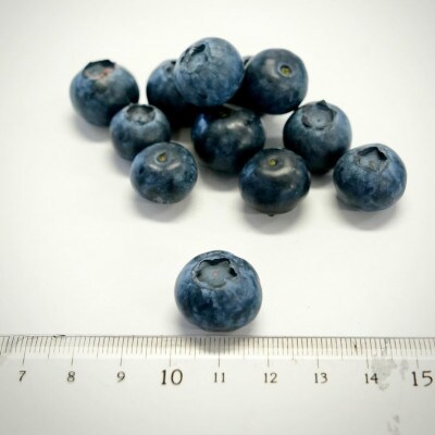 冷凍ブルーベリー「あいあいの雫」約300g×4