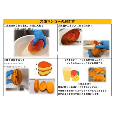 訳あり佐世保産冷凍マンゴー1kg