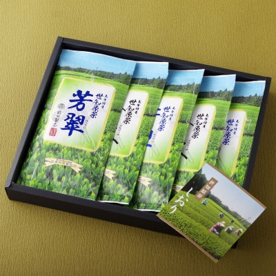 世知原茶「芳翠」「峰の露」詰め合わせ