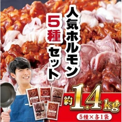 【毎月定期便】特製タレ漬け 工場直送!ホルモン 人気5種セット 計約1.4kg全12回