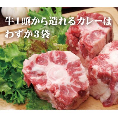 【毎月定期便】牛テールカレー 「ゴロット」3箱入全6回