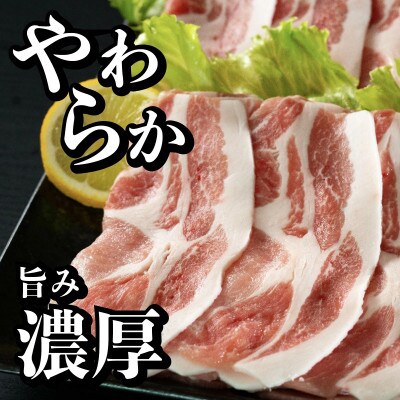 長崎県産 豚肉 ローススライス 計約1kg (500g×2)
