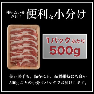 長崎県産 豚肉 ローススライス 計約1kg (500g×2)