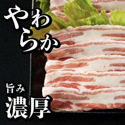 長崎県産 豚肉 バラスライス 計約1kg (500g×2)