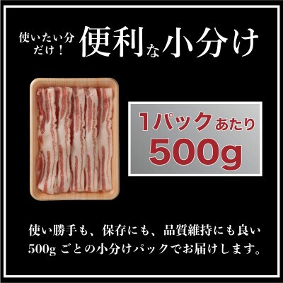 長崎県産 豚肉 バラスライス 計約1kg (500g×2)