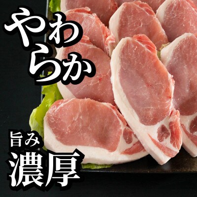 長崎県産 豚肉 ロースとんかつ用 計約1kg(1Pあたり100g×5枚入)