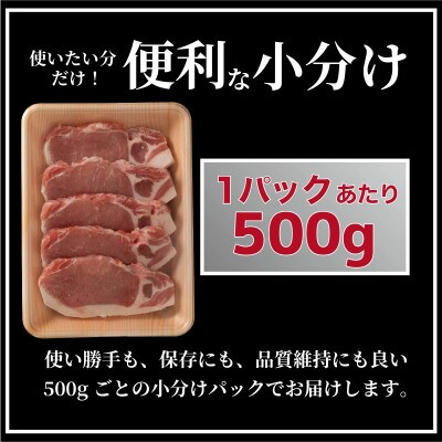 長崎県産 豚肉 ロースとんかつ用 計約1kg(1Pあたり100g×5枚入)