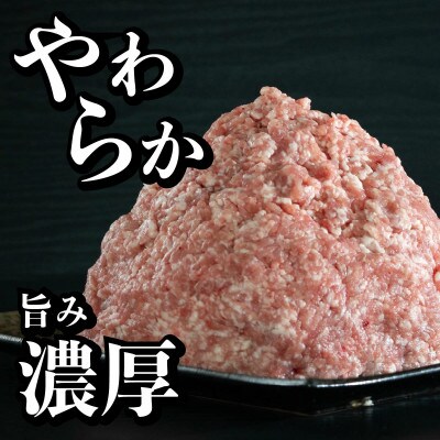 長崎県産 豚肉 ひき肉 計約1.8kg (300g×6P)