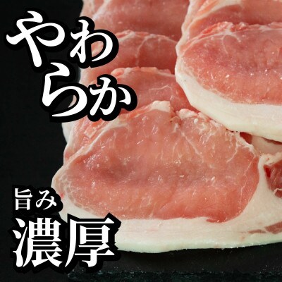 長崎県産 豚肉 ロース生姜焼き用 約計1kg (500g×2P)