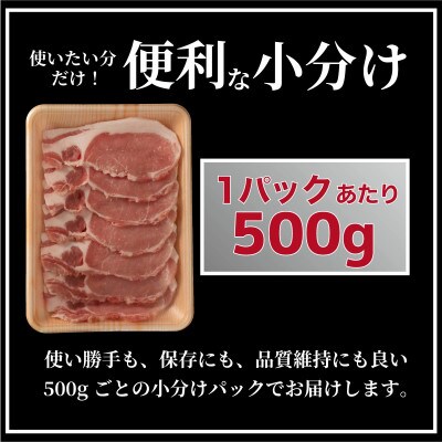 長崎県産 豚肉 ロース生姜焼き用 約計1kg (500g×2P)