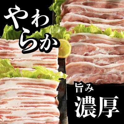 長崎県産豚 モモ・バラスライス 2種食べ比べ 計1.3kg