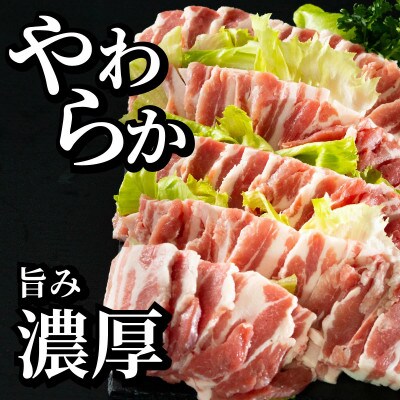 長崎県産豚 バラ焼肉用 約計1kg(500g×2P)