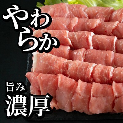 長崎県産豚 ロース焼肉用 計約1kg(500g×2P)