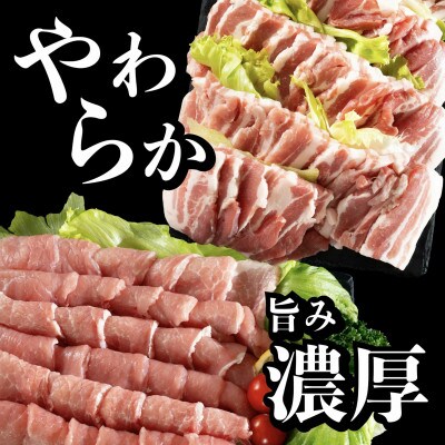 長崎県産豚 バラ・ロース 焼肉用 2種食べ比べセット 計約1kg(各500g)