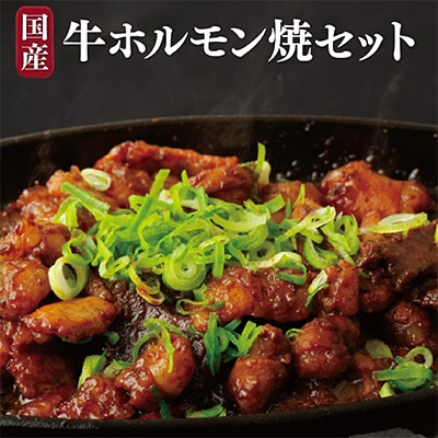 佐世保国産牛ホルモン焼セット