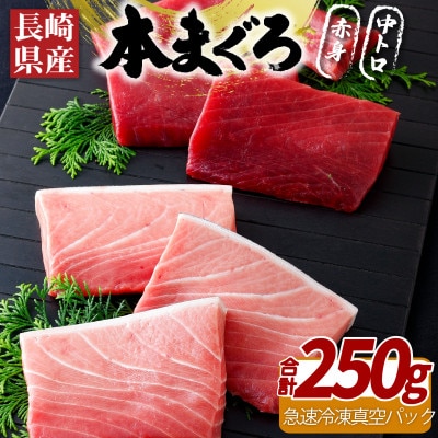 【長崎県産】本まぐろ(養殖)赤身・中トロ(計250g) A390b