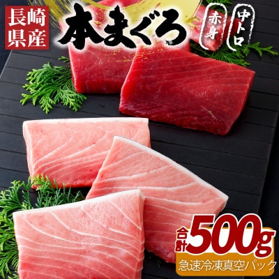 【長崎県産】本まぐろ(養殖)赤身・中トロ(計500g)　A400b
