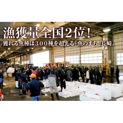 金目鯛が入った干物詰合せ(全7種13枚)【丸富水産】A269p
