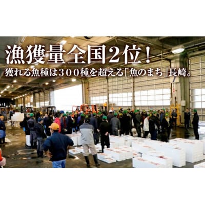 【毎月定期便】丸富の干物・西京漬「七福神」【丸富水産】全6回