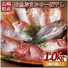 長崎県産「おまかせ旬魚」目利き店長の一夜干しセット(3種以上・8尾以上)