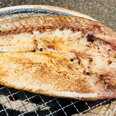 長崎県産「おまかせ旬魚」目利き店長の一夜干しセット(3種以上・8尾以上)