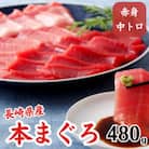 長崎県産本まぐろ(中トロ・赤身)約480g