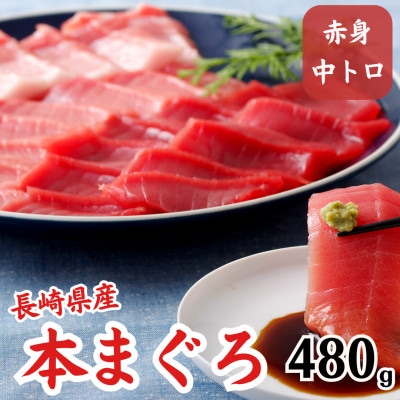 長崎県産本まぐろ(中トロ・赤身)約480g