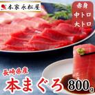 長崎県産本マグロ「赤身・中トロ・大トロ」三種セット(計800g以上)
