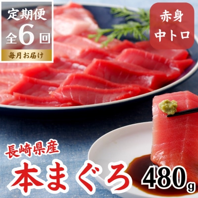 【毎月定期便】長崎県産本まぐろ(中トロ・赤身)約480g全6回
