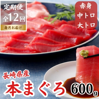 【毎月定期便】長崎県産本マグロ「赤身・中トロ・大トロ」三種セット(計600g以上)全12回